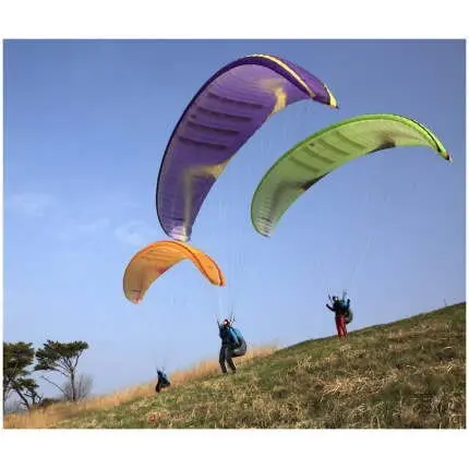 Davinci Classic 2 paraglider