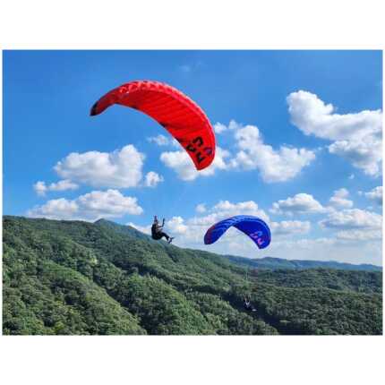 Davinci Point 2 accuracy paraglider