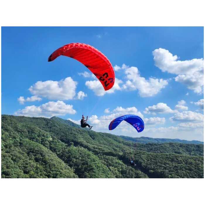 Davinci Point 2 accuracy paraglider