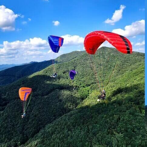 Davinci point2 paraglider voor accuracy wedstrijden