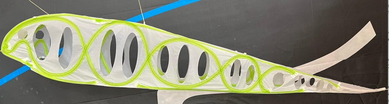 Davinci Mambo Smart Snake System. EN-C paraglider