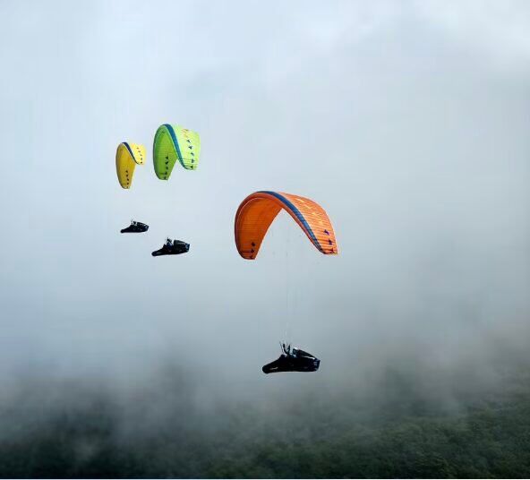 Davinci Gliders Mambo EN-C 2 liner