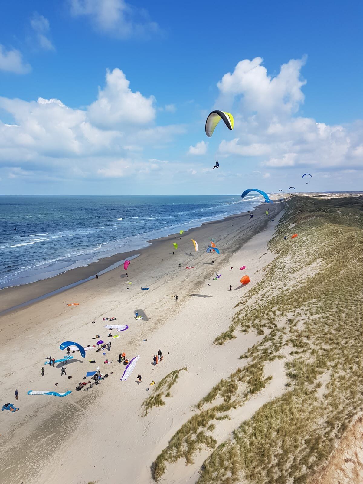 soaren van parakites vanuit de lucht gezien